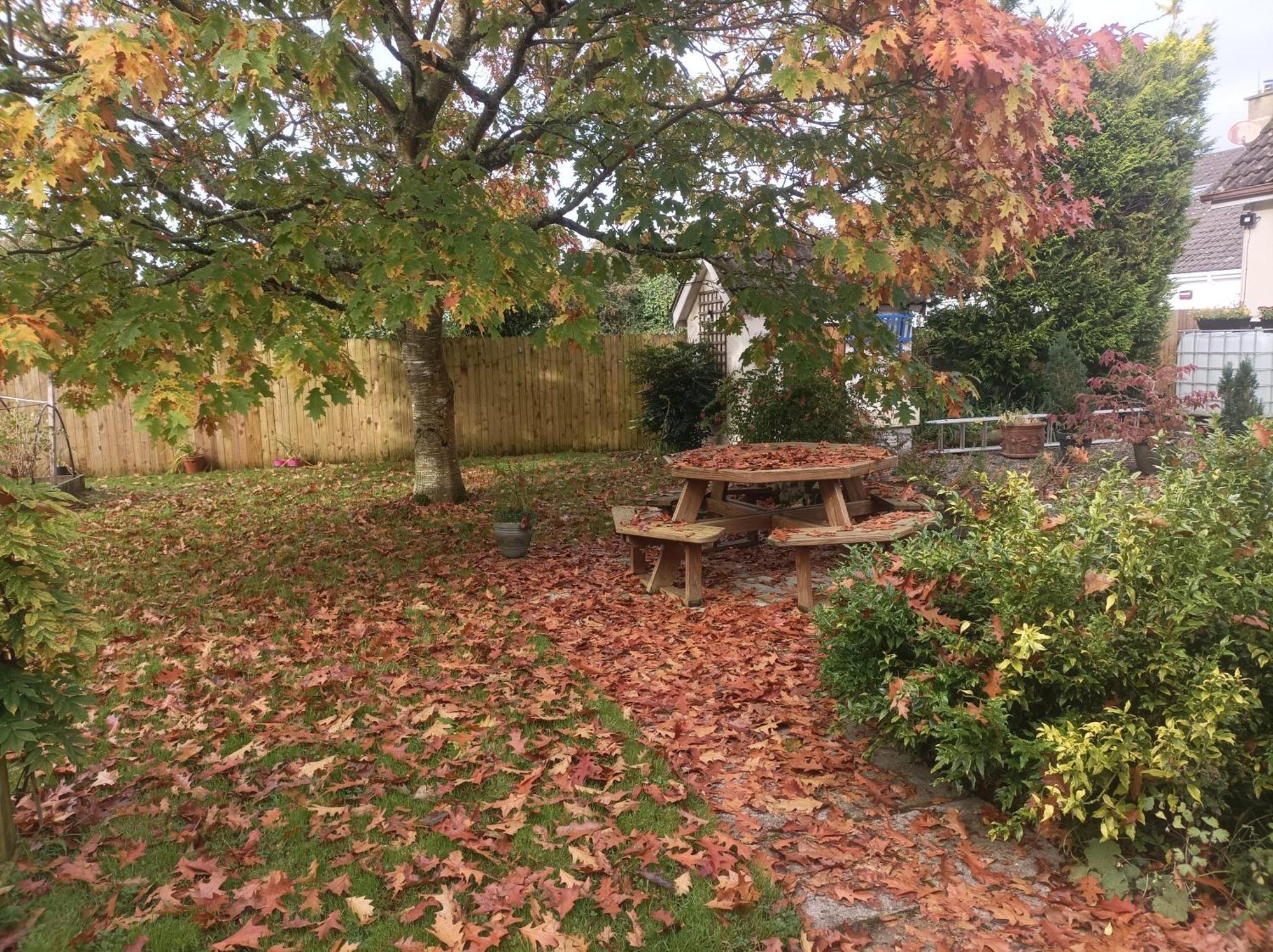 Twin Oaks Bed & Breakfast Kilkenny Exterior foto