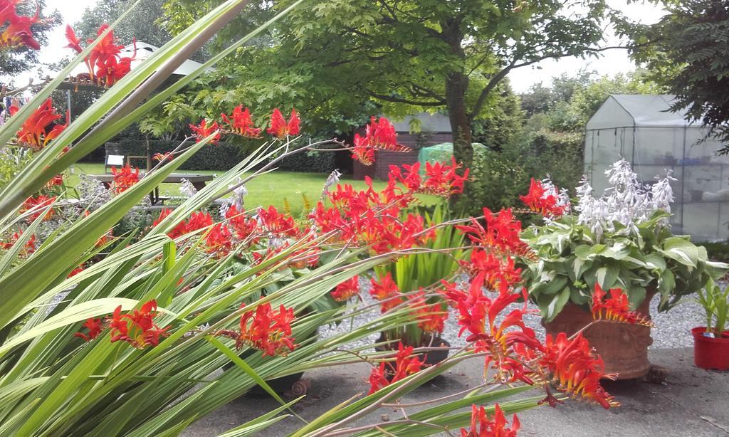 Twin Oaks Bed & Breakfast Kilkenny Exterior foto
