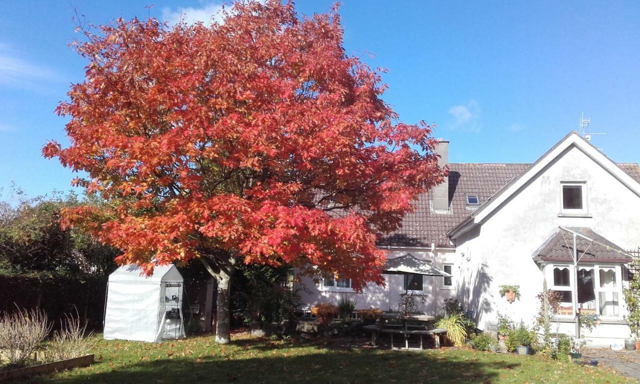 Twin Oaks Bed & Breakfast Kilkenny Exterior foto
